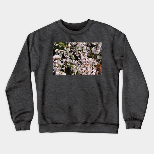 Tiny White and Pink Blossoms in Photography Crewneck Sweatshirt by Tenpmcreations